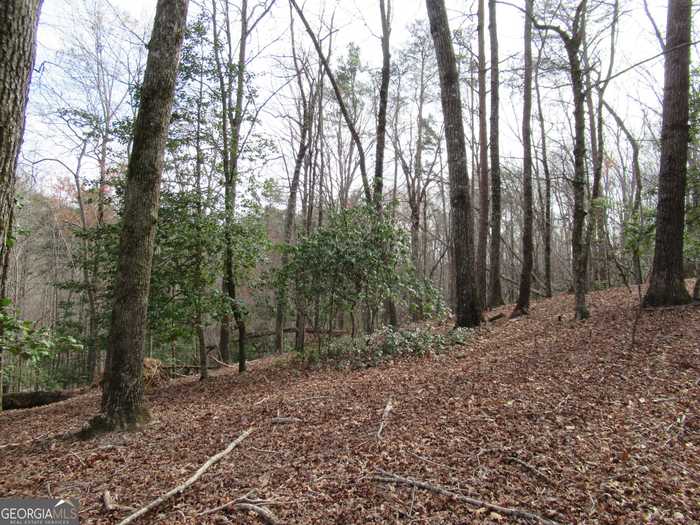 photo 8: Long Branch Road, Dahlonega GA 30533