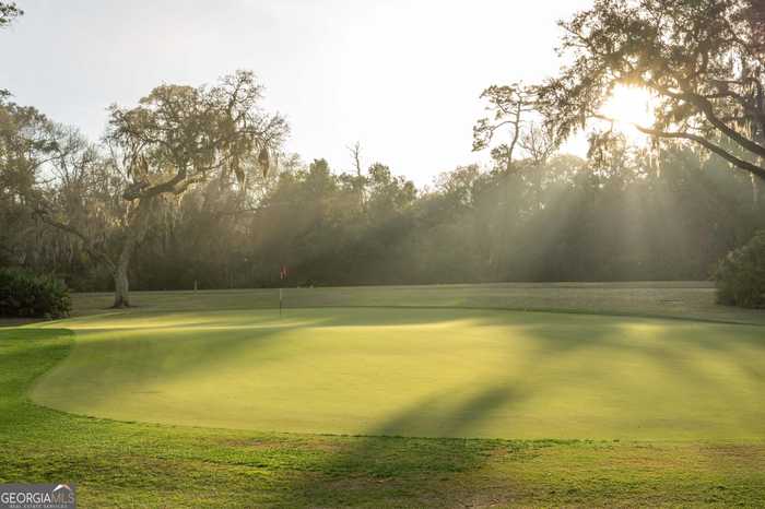 photo 63: 316 Forest Oaks, St. Simons GA 31522