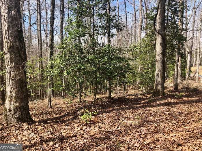 photo 1: LOT 6 Twisting Ridge Trail, Demorest GA 30535