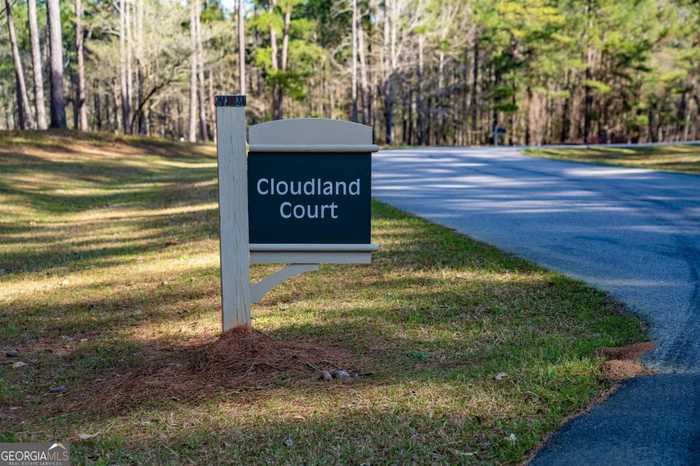 photo 28: 1070 Cloudland Court, Greensboro GA 30642