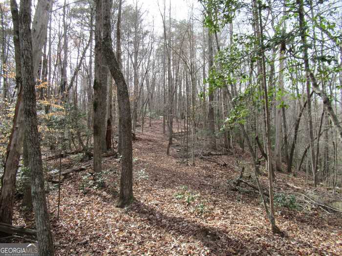 photo 1: Long Branch Road, Dahlonega GA 30533