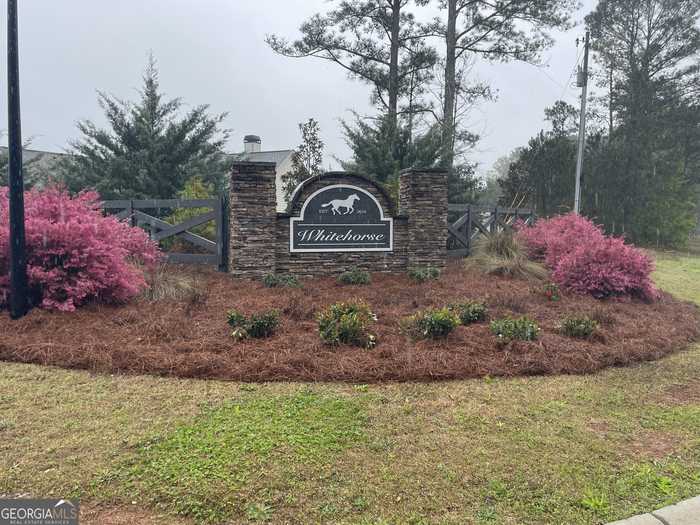 photo 26: 68 Commanche Circle lot 60, Williamson GA 30292