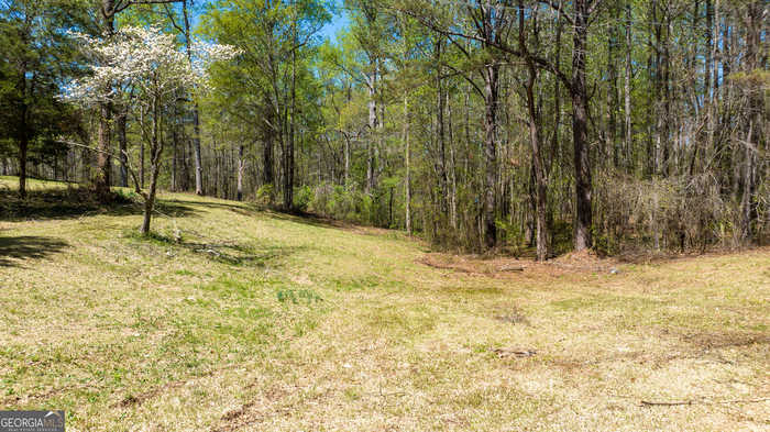 photo 17: Kelly Drive, Whitesburg GA 30185