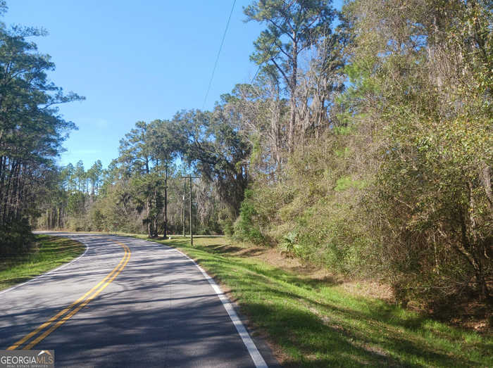 photo 2: Dover Bluff Rd & GA Episcopal Center Rd Center, Waverly GA 31565