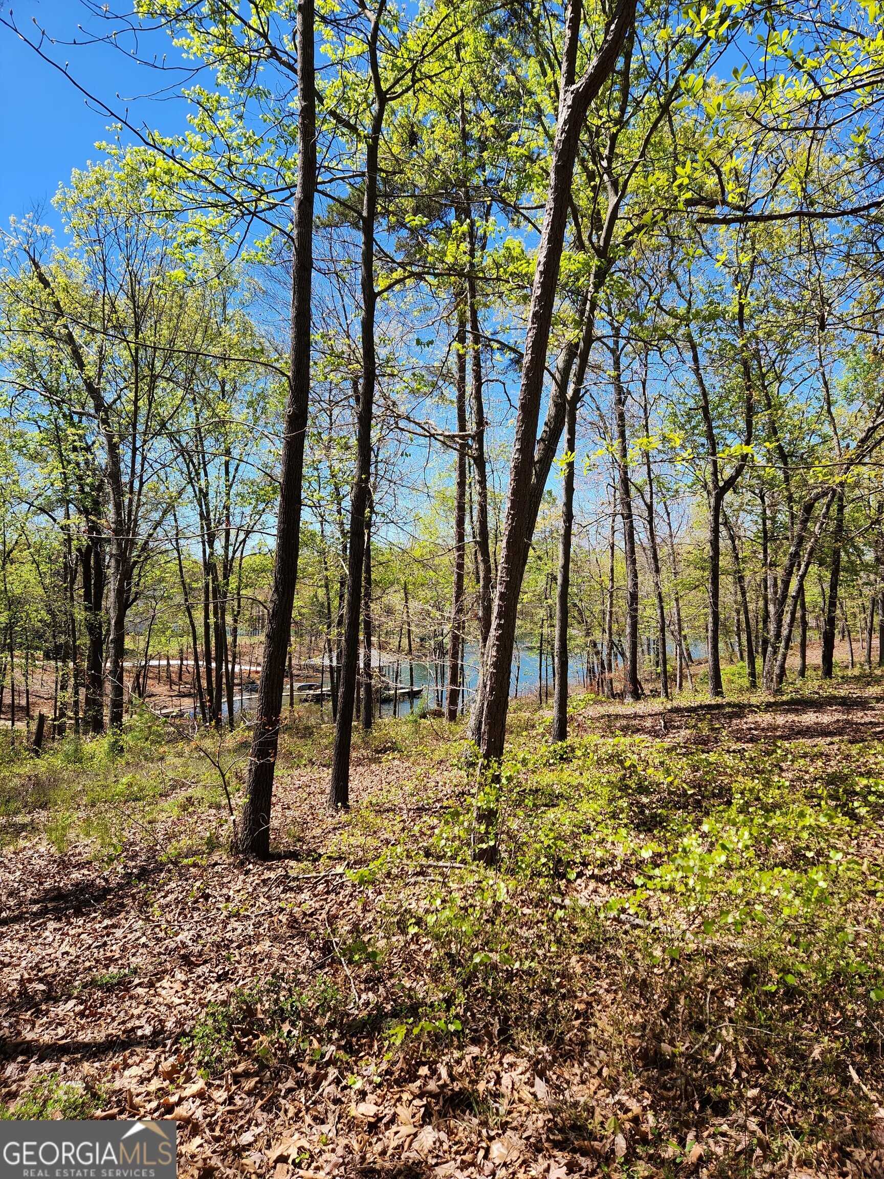 photo 3: Crawfords Ferry Point, Hartwell GA 30643