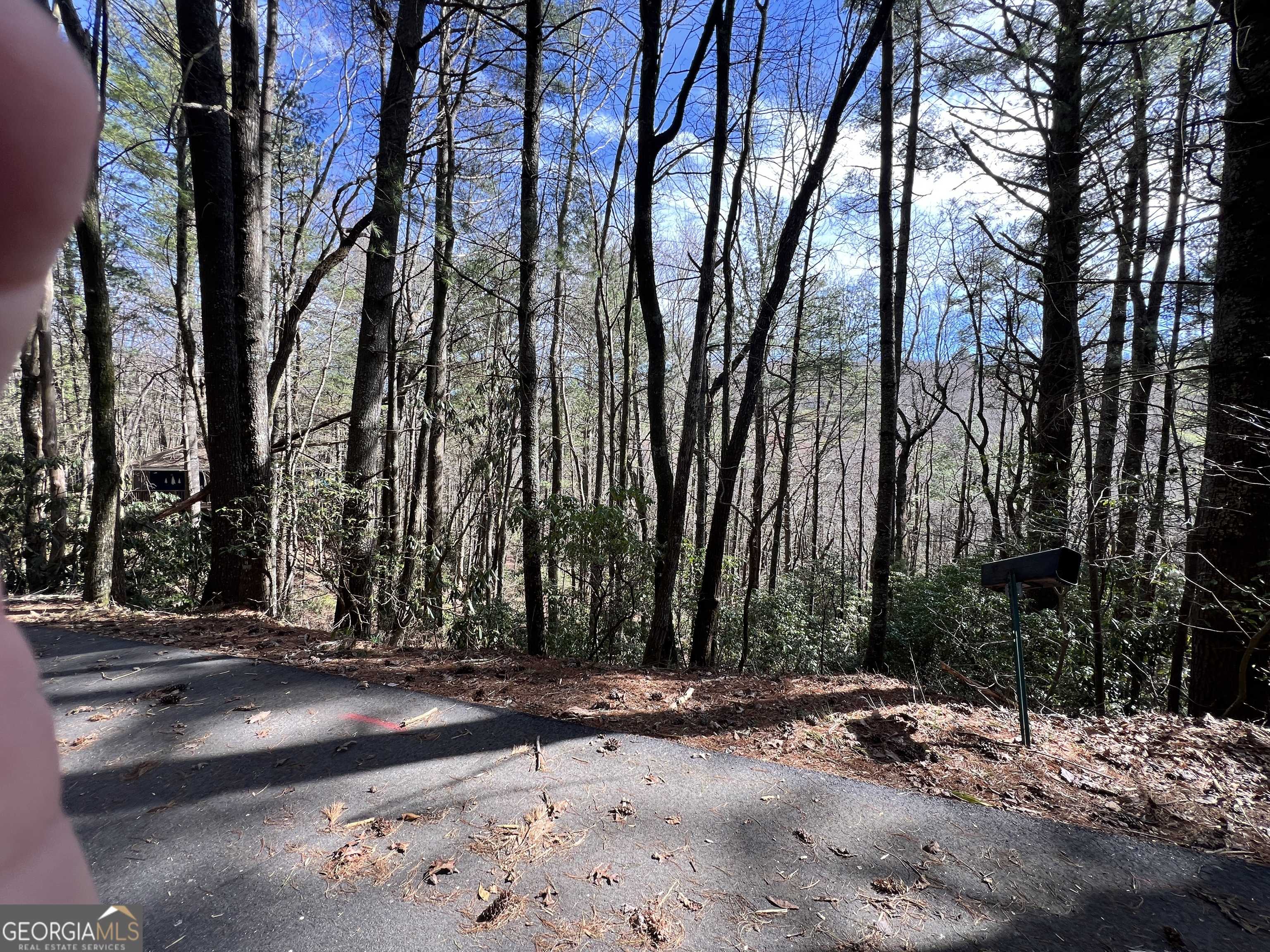 photo 3: Rebel Circle, Sky Valley GA 30537