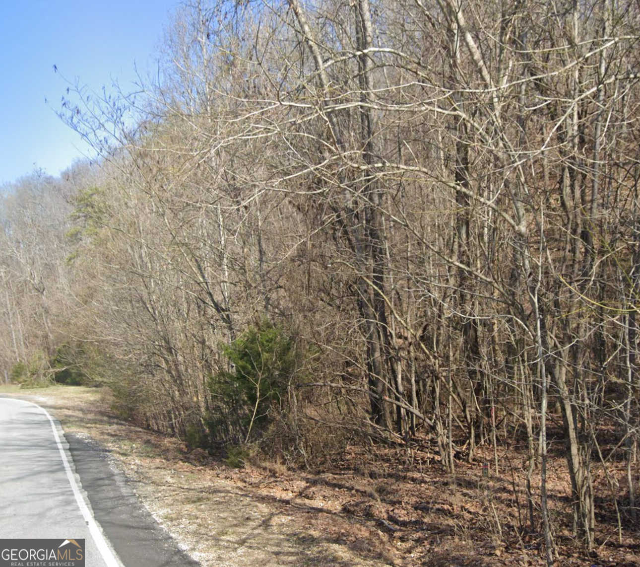 photo 1: GA Hwy 136, Trenton GA 30752