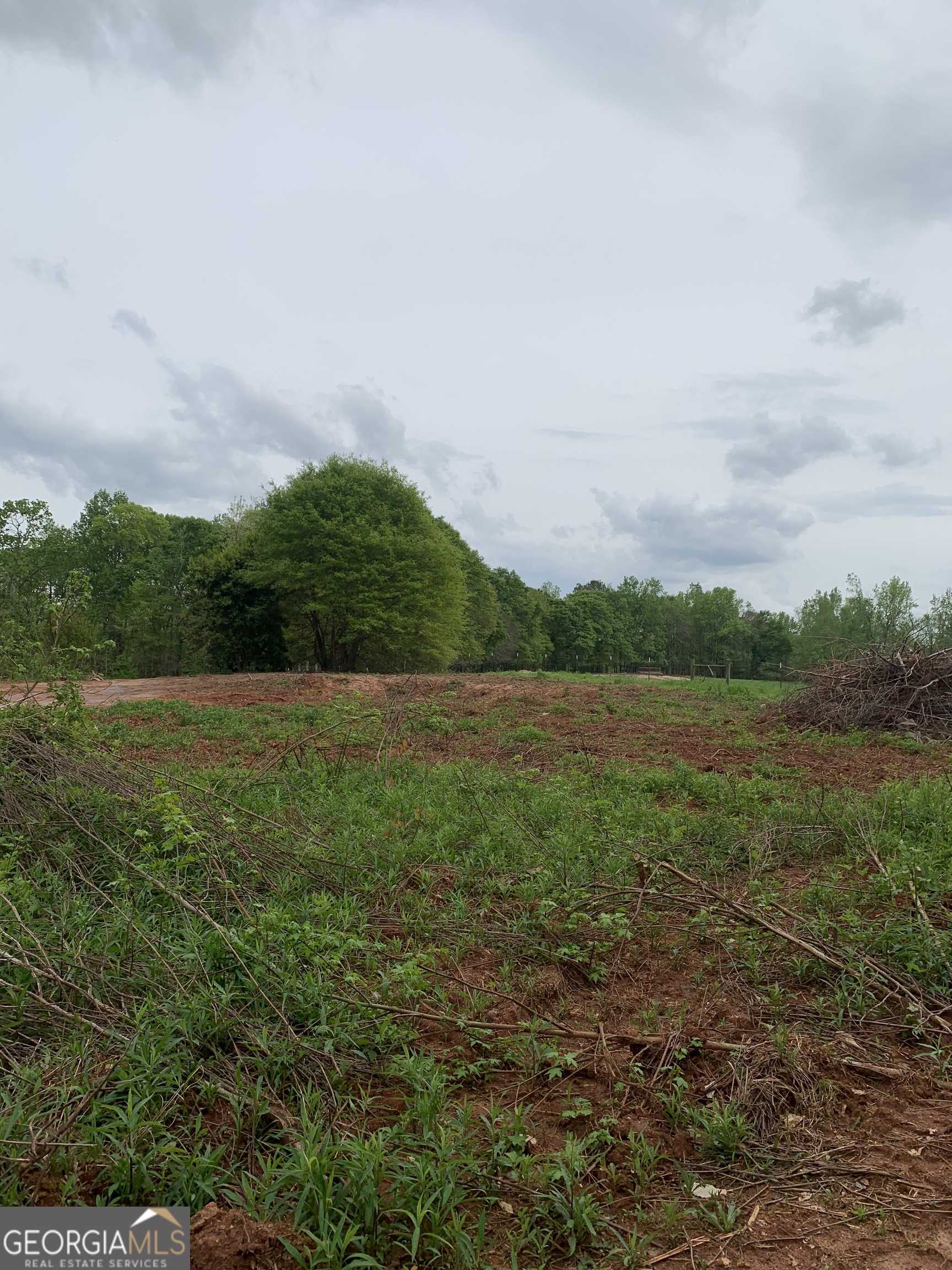 photo 3: 2812 Astondale Road, Watkinsville GA 30677