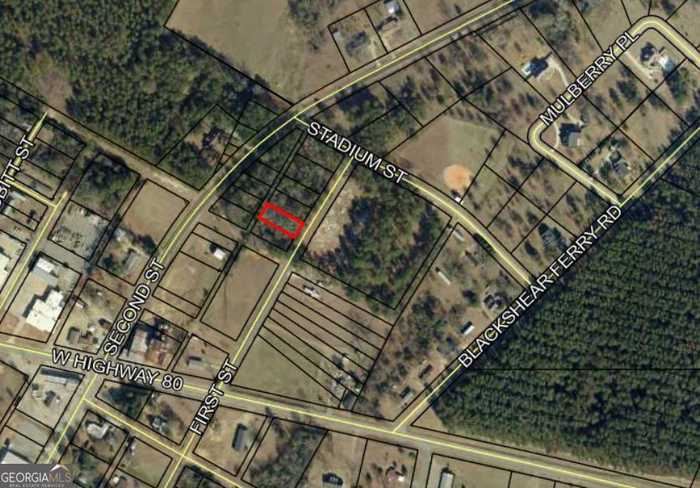 photo 1: First Street Lot 15, Dudley GA 31022