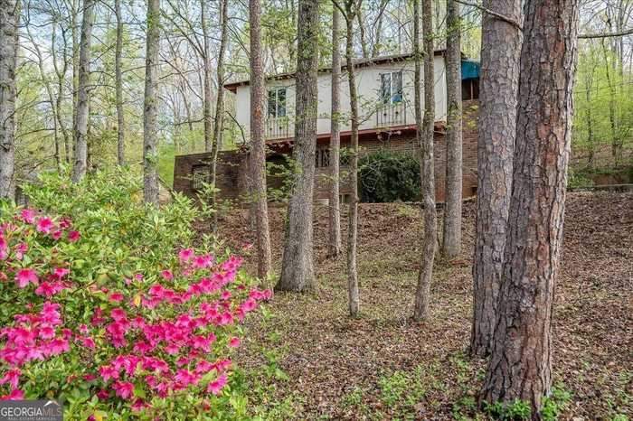 photo 1: 340 Dogwood Drive, Athens GA 30606