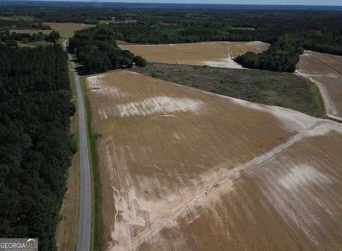 photo 1: 14.12 AC Middleground Road, Statesboro GA 30461