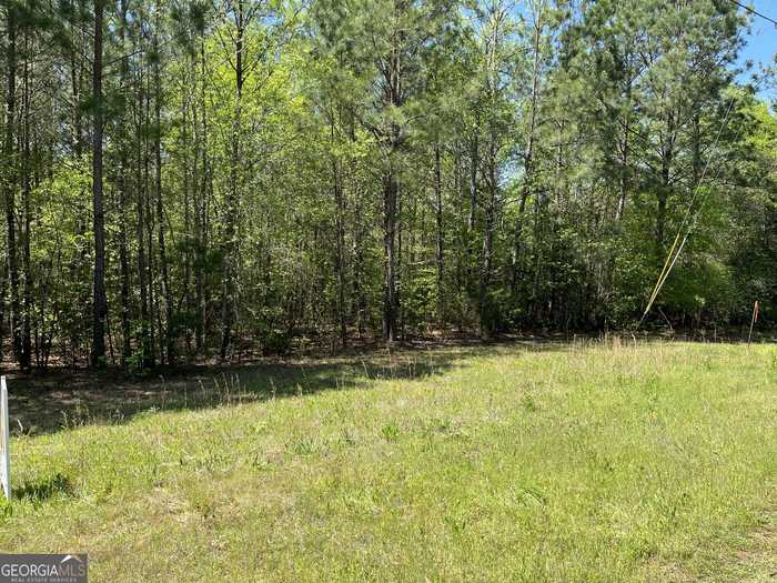 photo 2: LOT 36 Omaha Drive, Elberton GA 30635