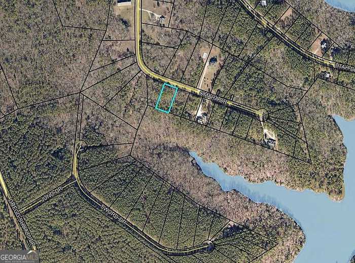 photo 7: LOT 36 Omaha Drive, Elberton GA 30635