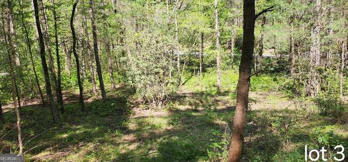 photo 2: Bean Creek Road Unit 3, Sautee Nacoochee GA 30571