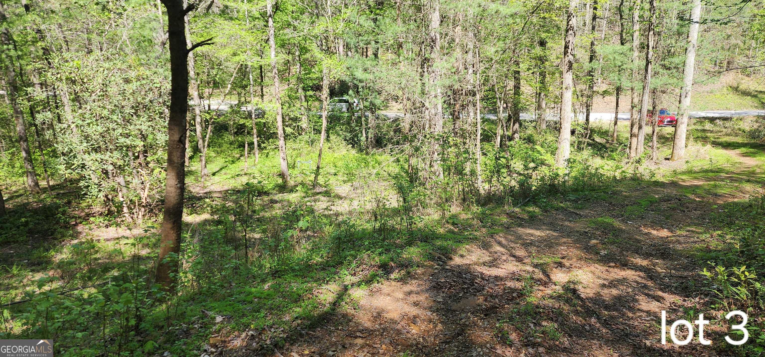 photo 3: Bean Creek Road Unit 3, Sautee Nacoochee GA 30571