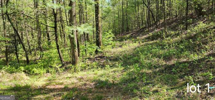 photo 2: Bean Creek Road, Sautee Nacoochee GA 30571