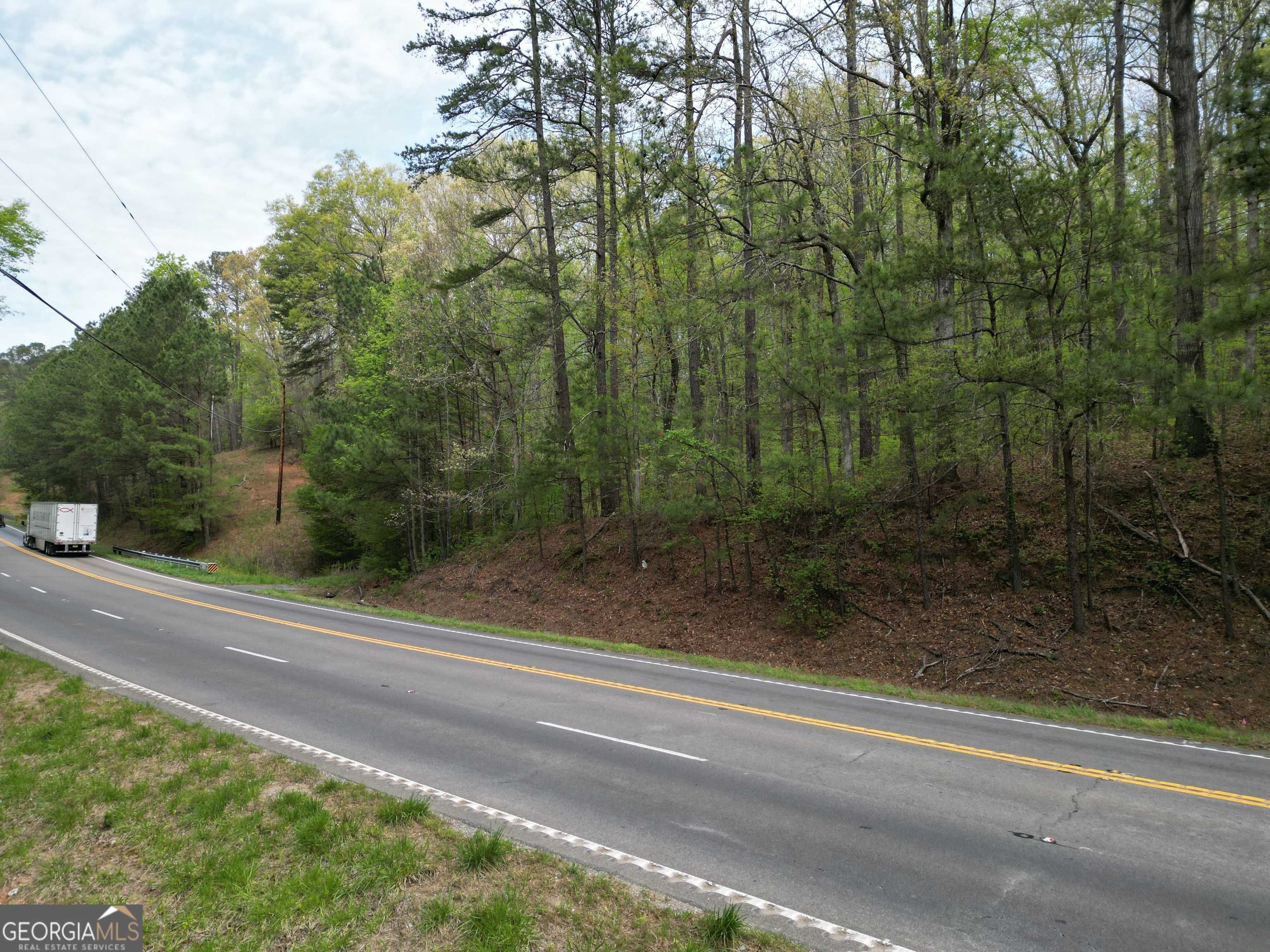 photo 3: Knox Bridge Highway, Canton GA 30114