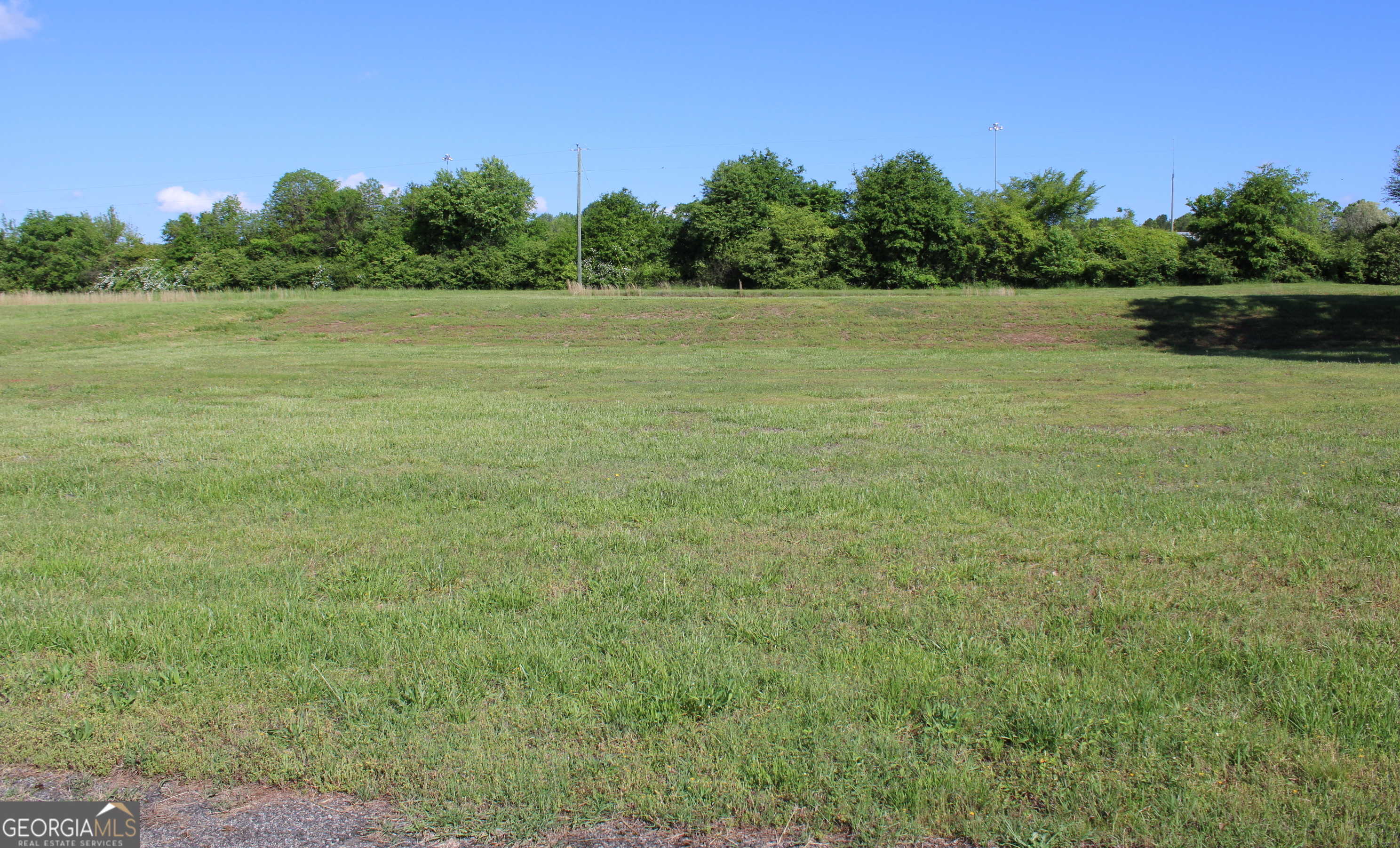 photo 1: Runway Road Unit LOT 43, Lavonia GA 30553