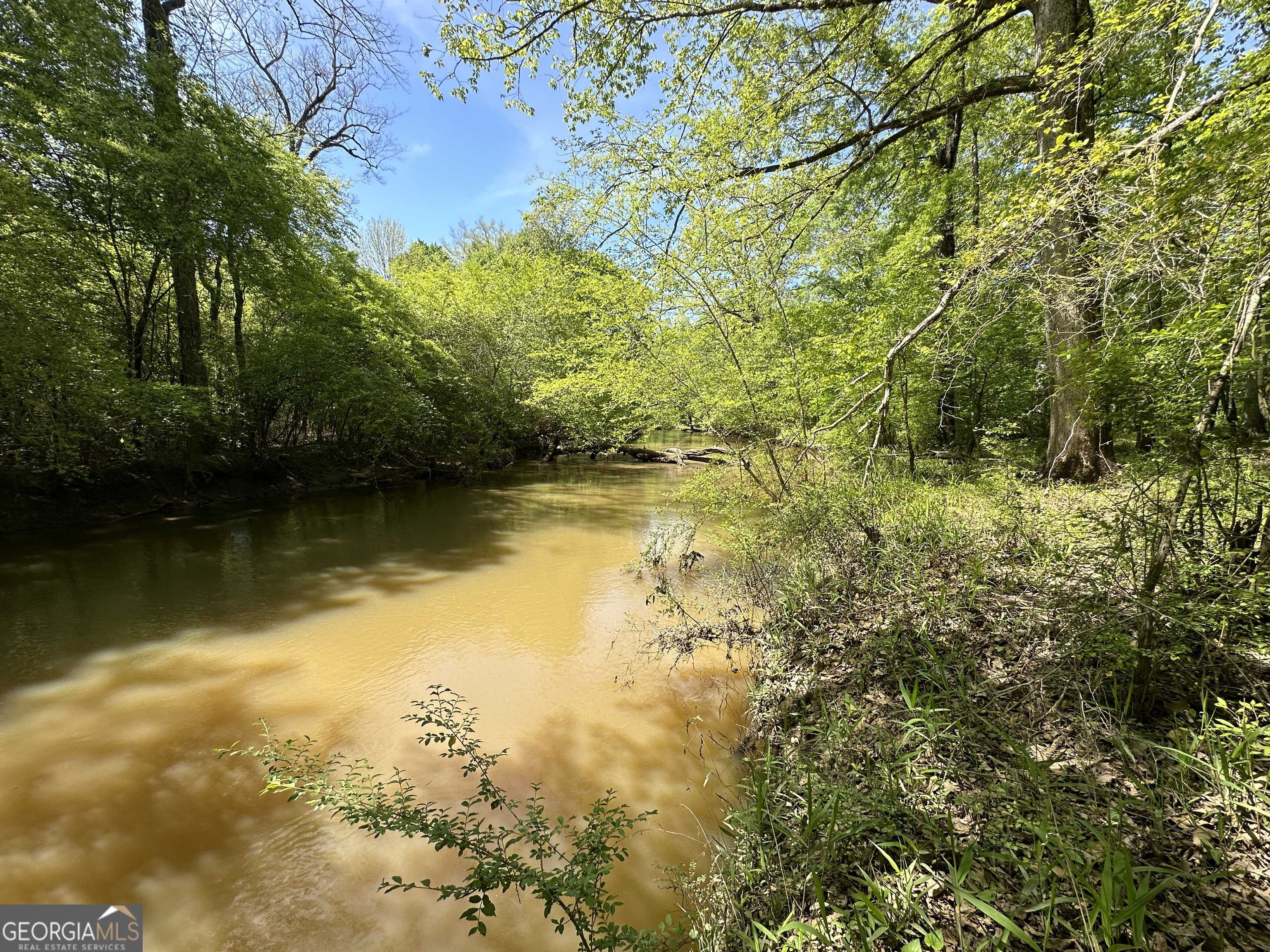 photo 3: Alexander Road Unit 55 ACRES, Gay GA 30218