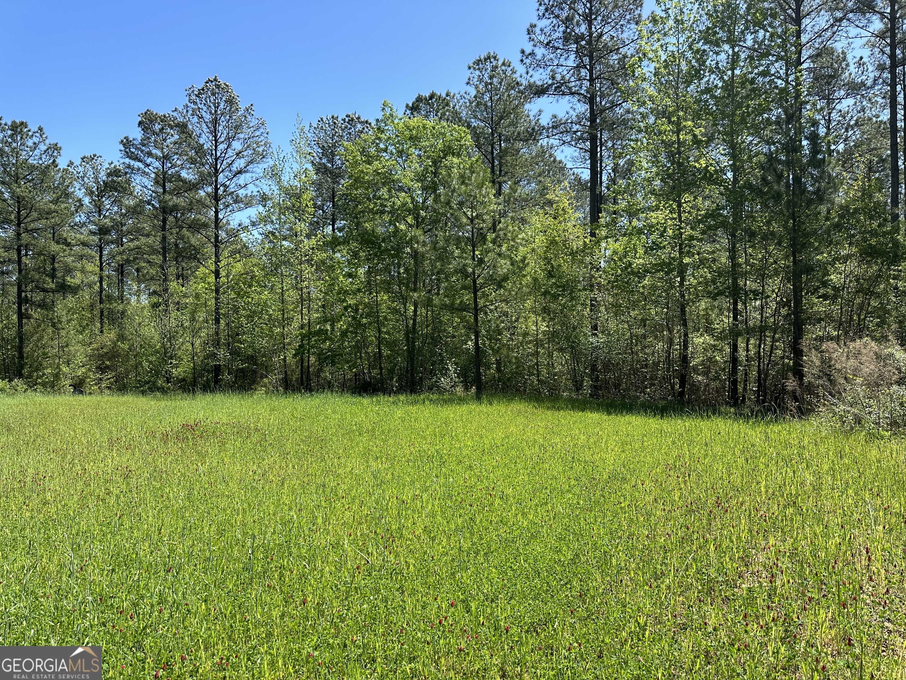 photo 3: 140 George Jordan Way Unit 207 ACRES, Talbotton GA 31827