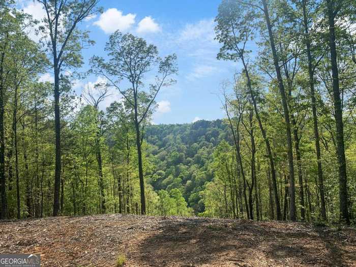 photo 2: LOT 274 Canoe Way, Ellijay GA 30540