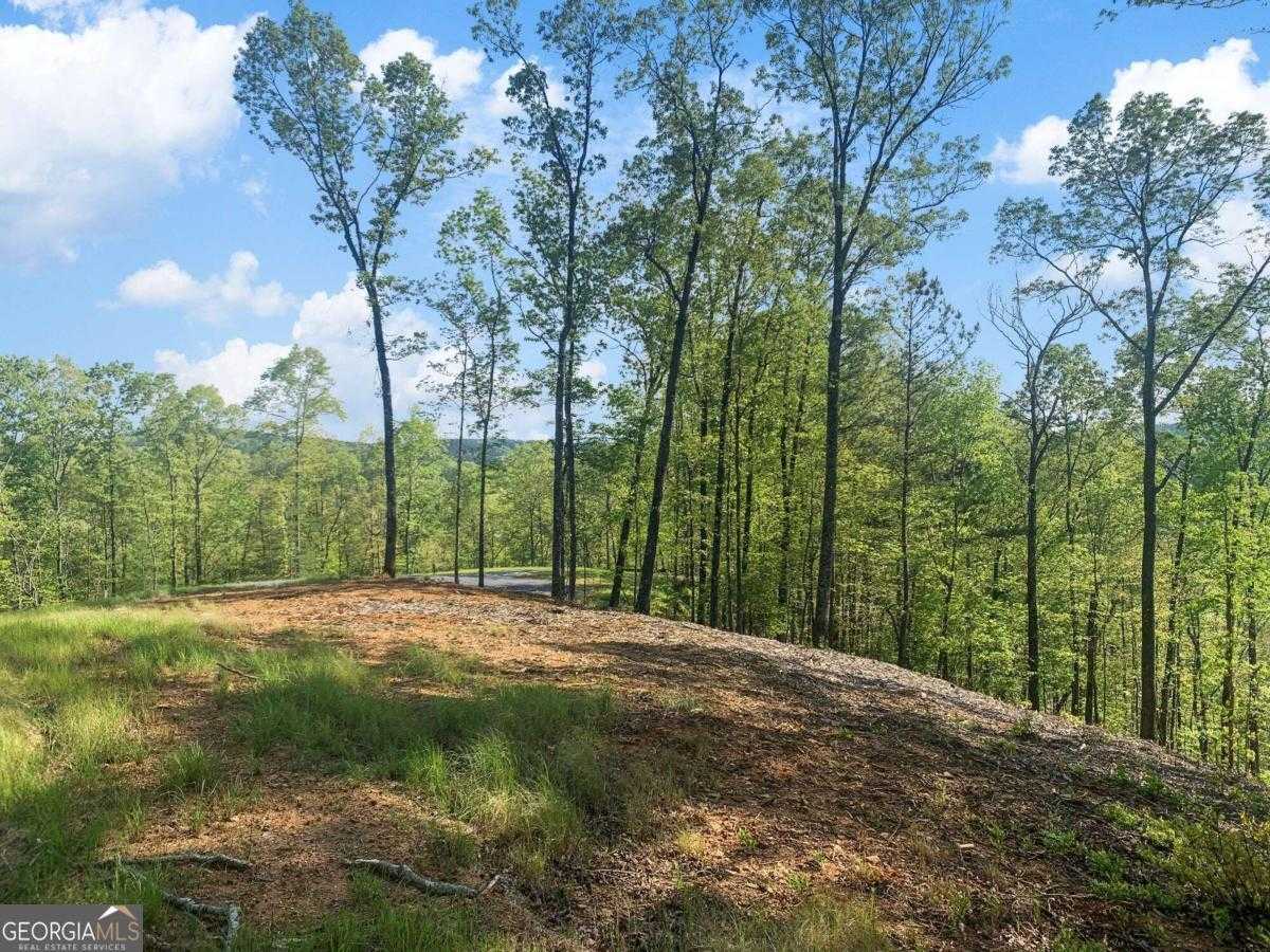 photo 3: LOT 274 Canoe Way, Ellijay GA 30540