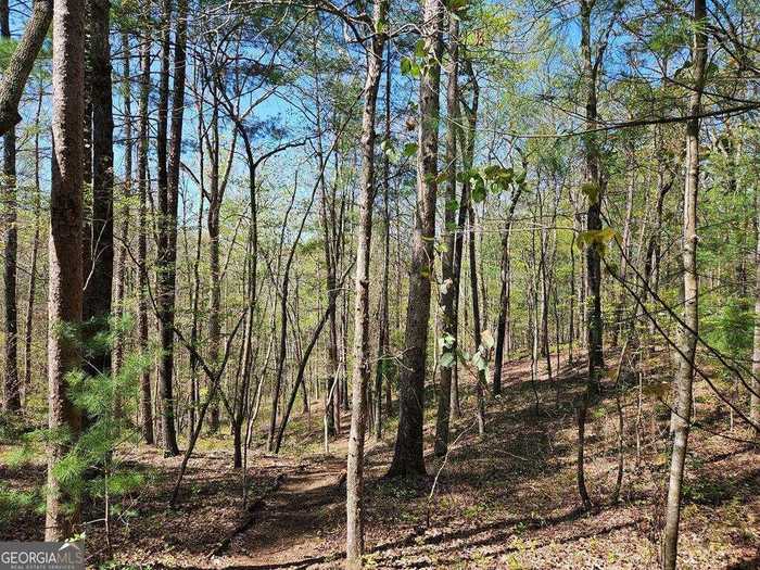 photo 2: LOT 9310 Redbud Pass, Big Canoe GA 30143