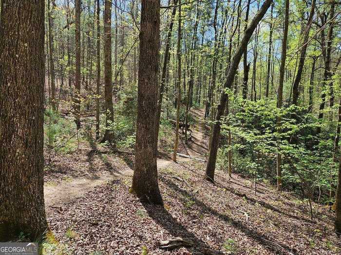 photo 25: LOT 9310 Redbud Pass, Big Canoe GA 30143