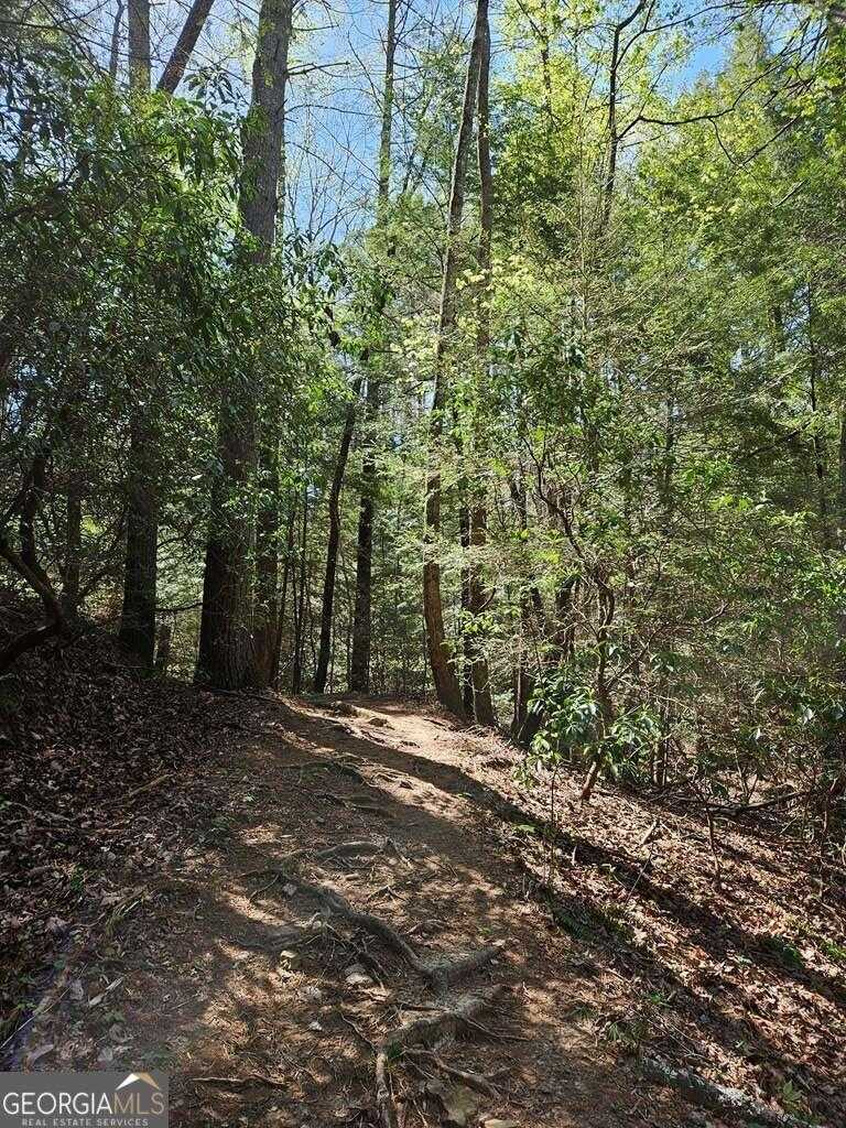 photo 3: LOT 9310 Redbud Pass, Big Canoe GA 30143