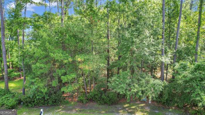 photo 1: Riverpoint Lane, Townsend GA 31331