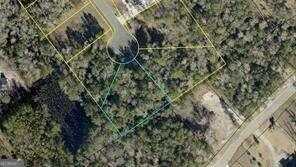 photo 1: 175 Marsh Oaks Drive, Waverly GA 31565