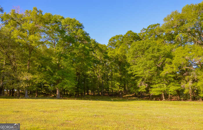 photo 1: NONE Payne Pond Road, Weston GA 31832