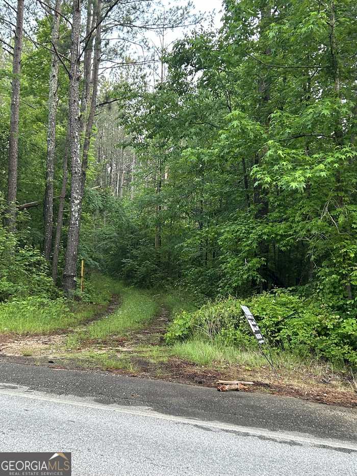 photo 3: HWY 142, Shady Dale GA 31085