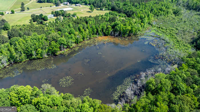 photo 29: Parks Road, Sharpsburg GA 30277