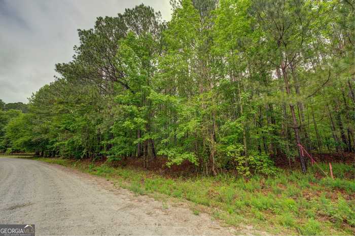 photo 2: Jeffries Road Tract A 32.55, Shady Dale GA 31085