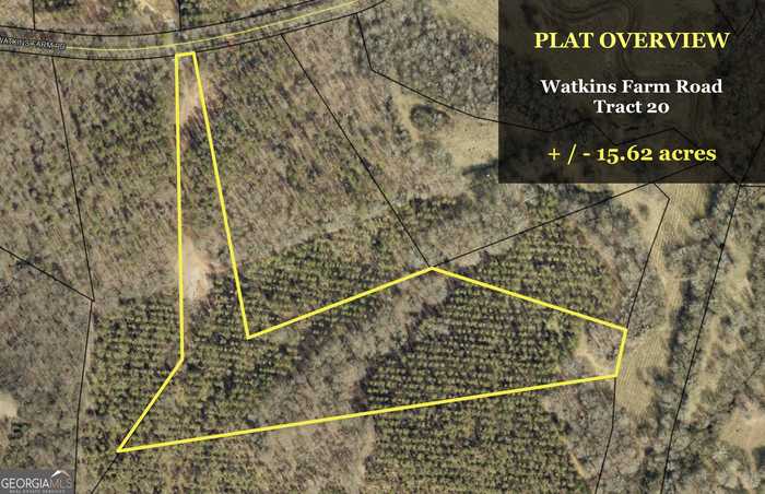 photo 1: Watkins Trail Unit TRACT 20, Nicholson GA 30565