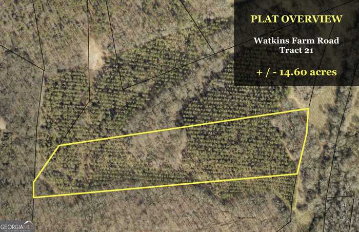 photo 1: Watkins Trail Unit TRACT 21, Nicholson GA 30565