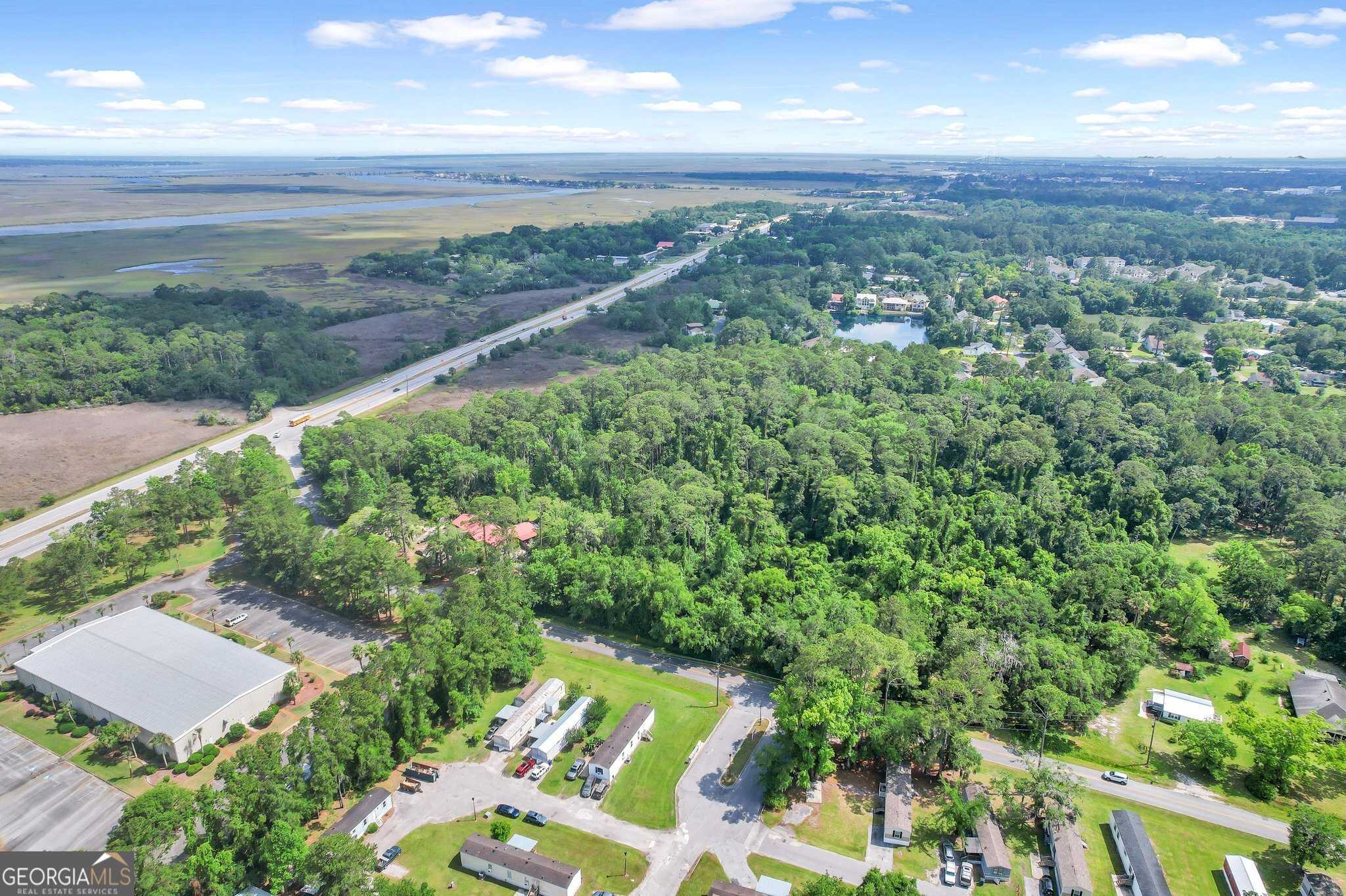 photo 3: Emanuel Farm Road, Brunswick GA 31525