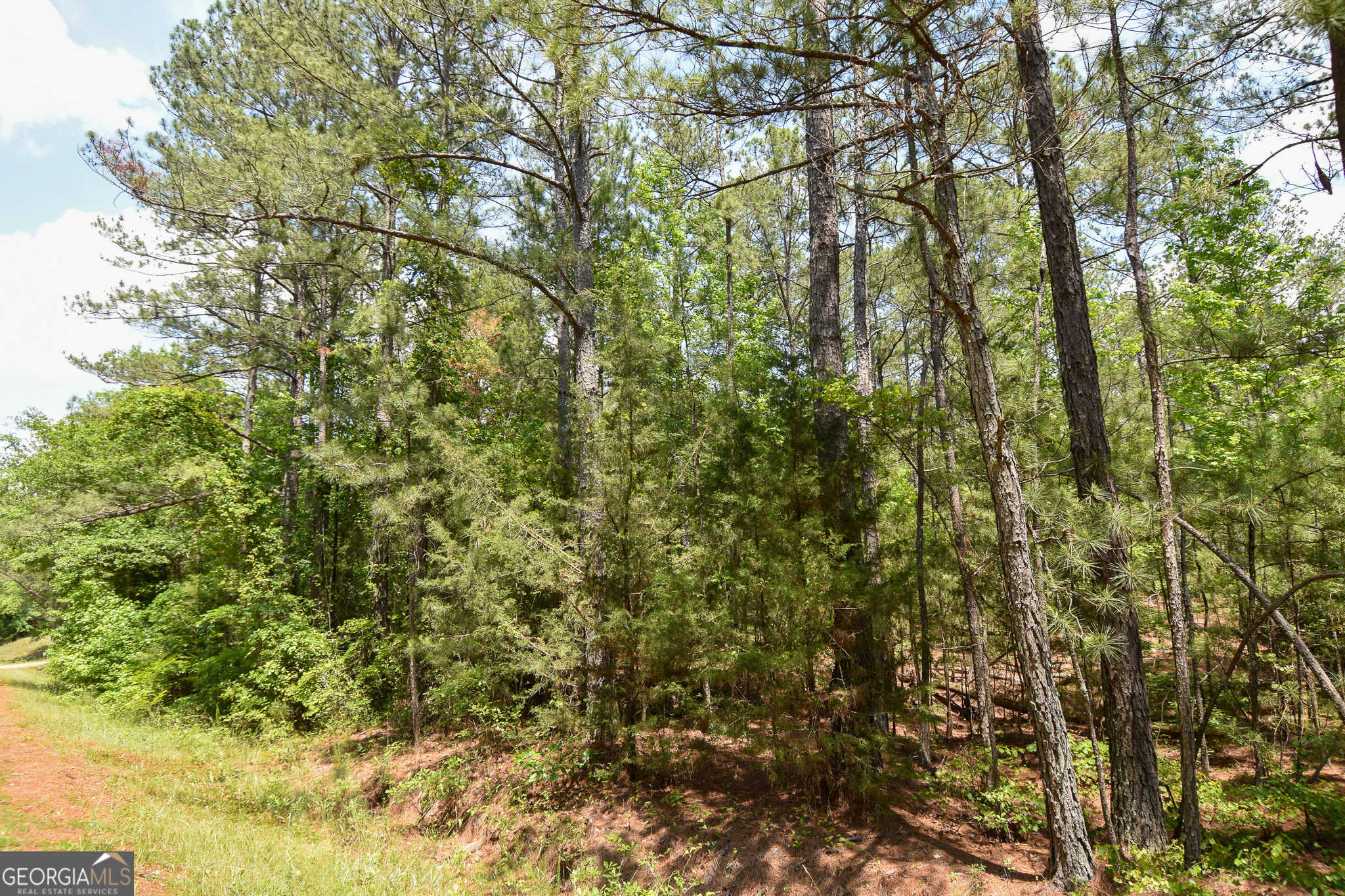 photo 1: Skelton Rd Unit LOT 9, Thomaston GA 30286