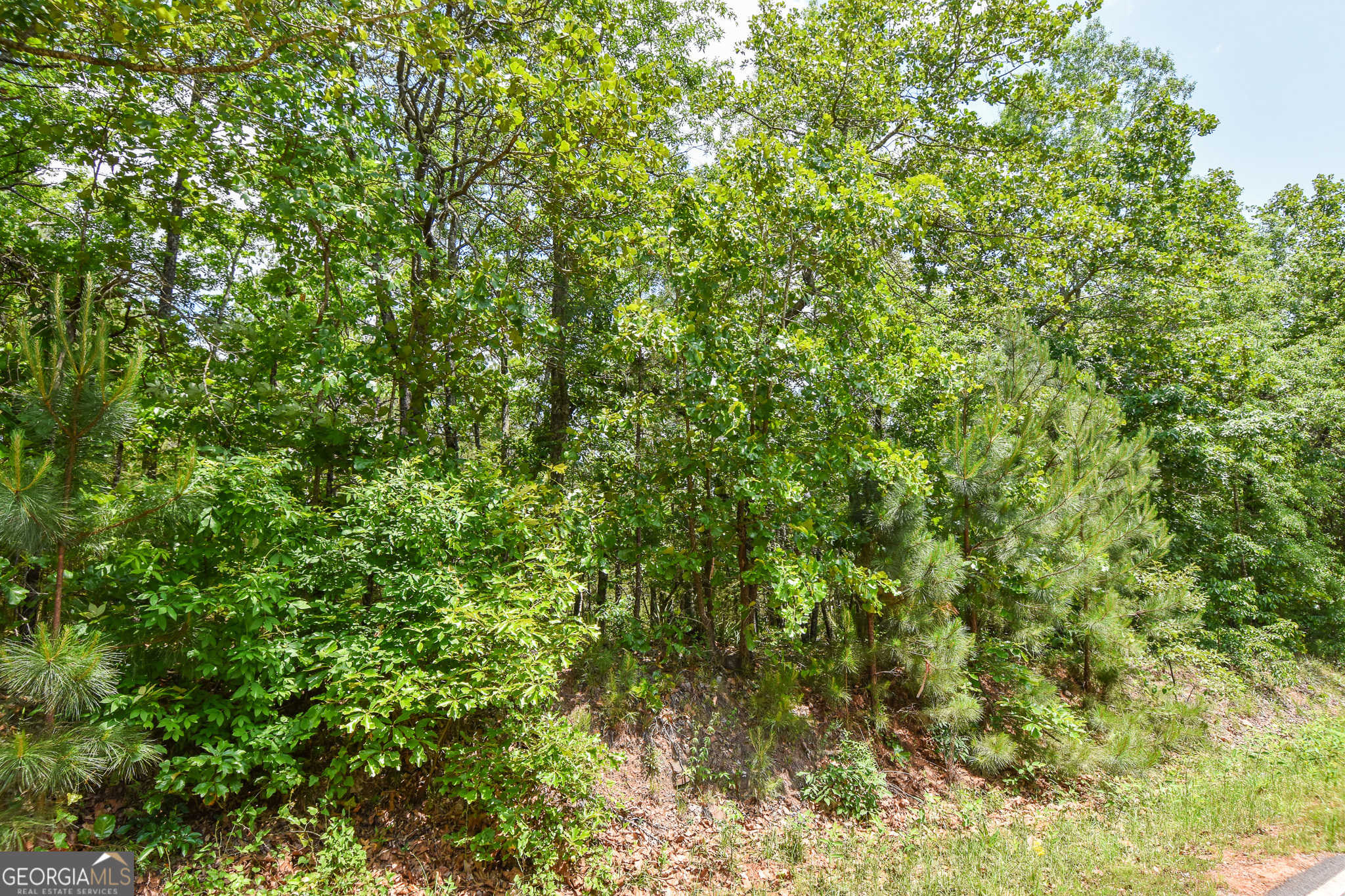 photo 1: Skelton Road Unit LOT 11, Thomaston GA 30286