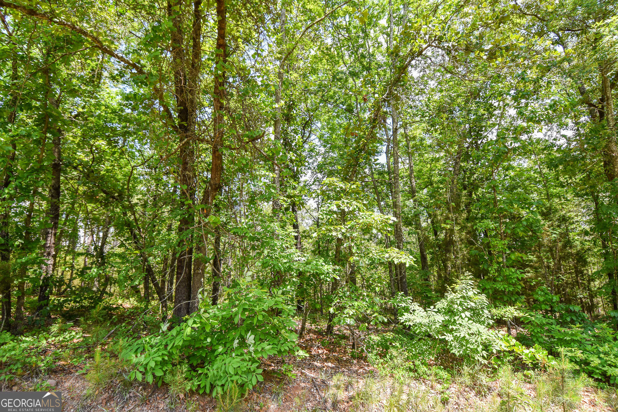 photo 1: Skelton Road Unit LOT 12, Thomaston GA 30286