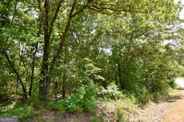 photo 1: Skelton Road Unit LOT 13, Thomaston GA 30286