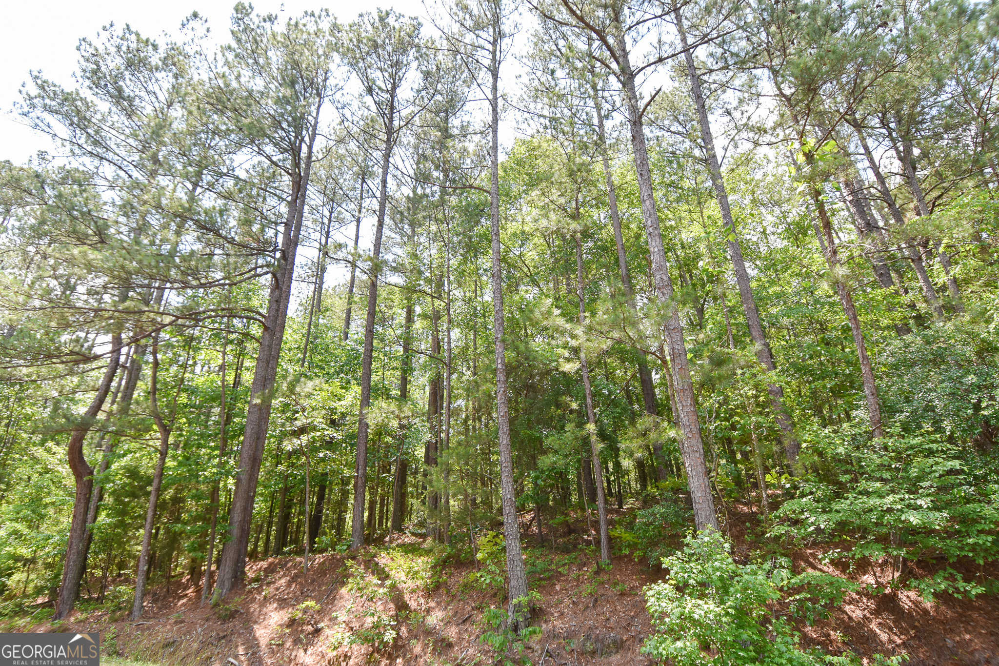 photo 1: Skelton Road Unit LOT 4, Thomaston GA 30286