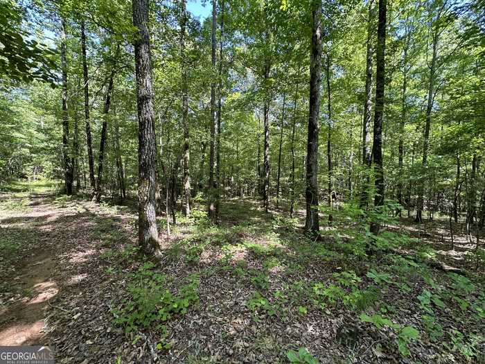 photo 2: Hidden Lakes Road Unit 7.19 ACRES, Warm Springs GA 31830