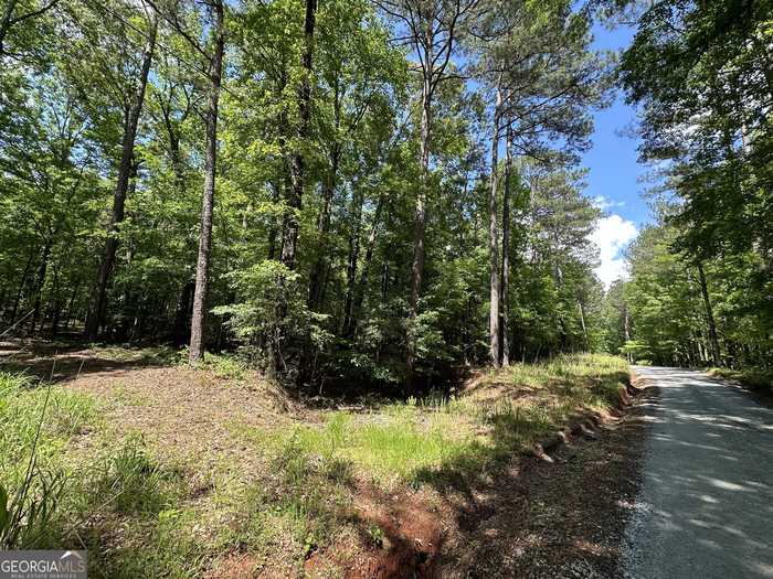 photo 9: Hidden Lakes Road Unit 7.19 ACRES, Warm Springs GA 31830