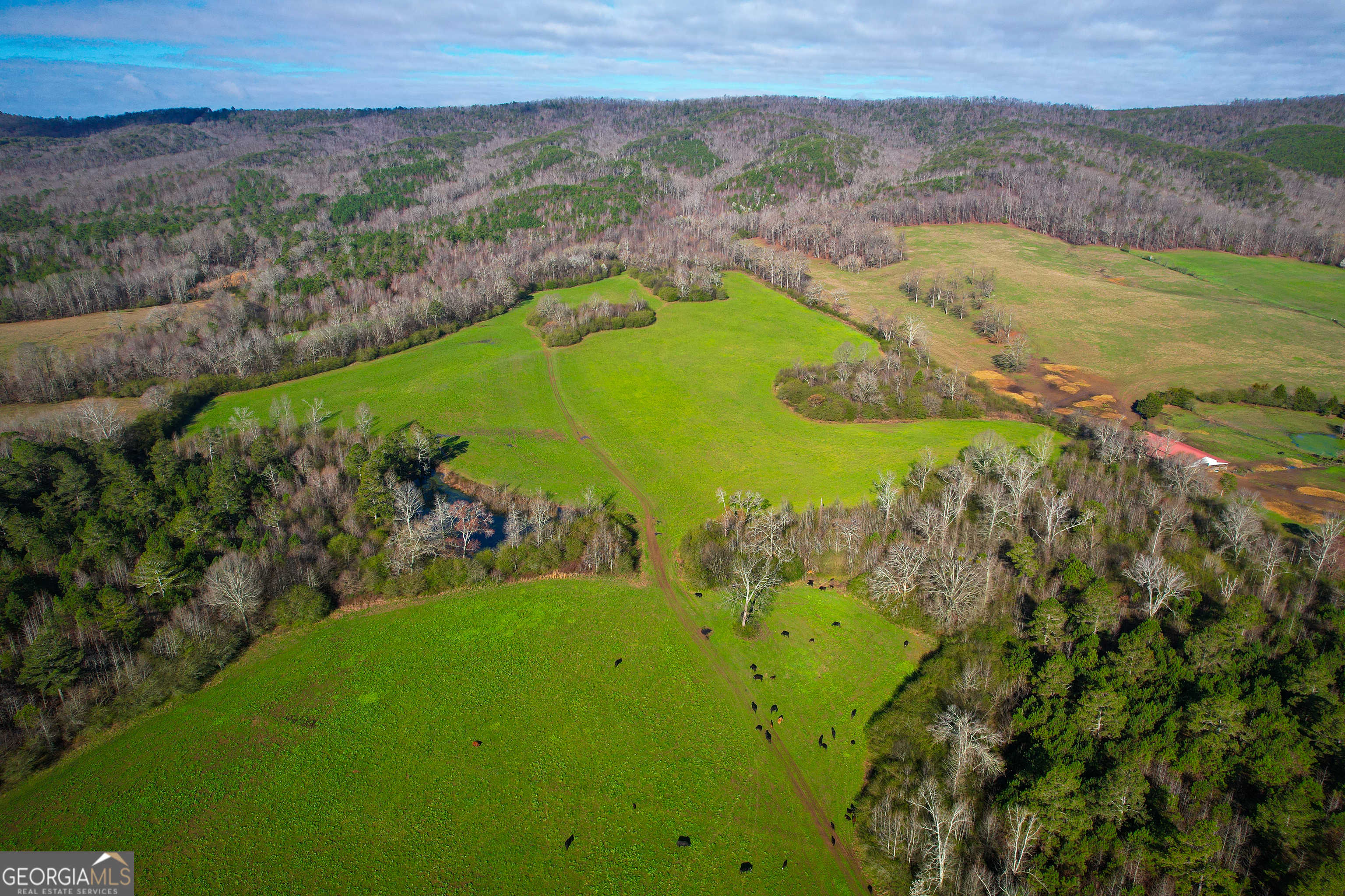 photo 1: 239 +/- Acres on Floyd Springs Road, Armuchee GA 30105