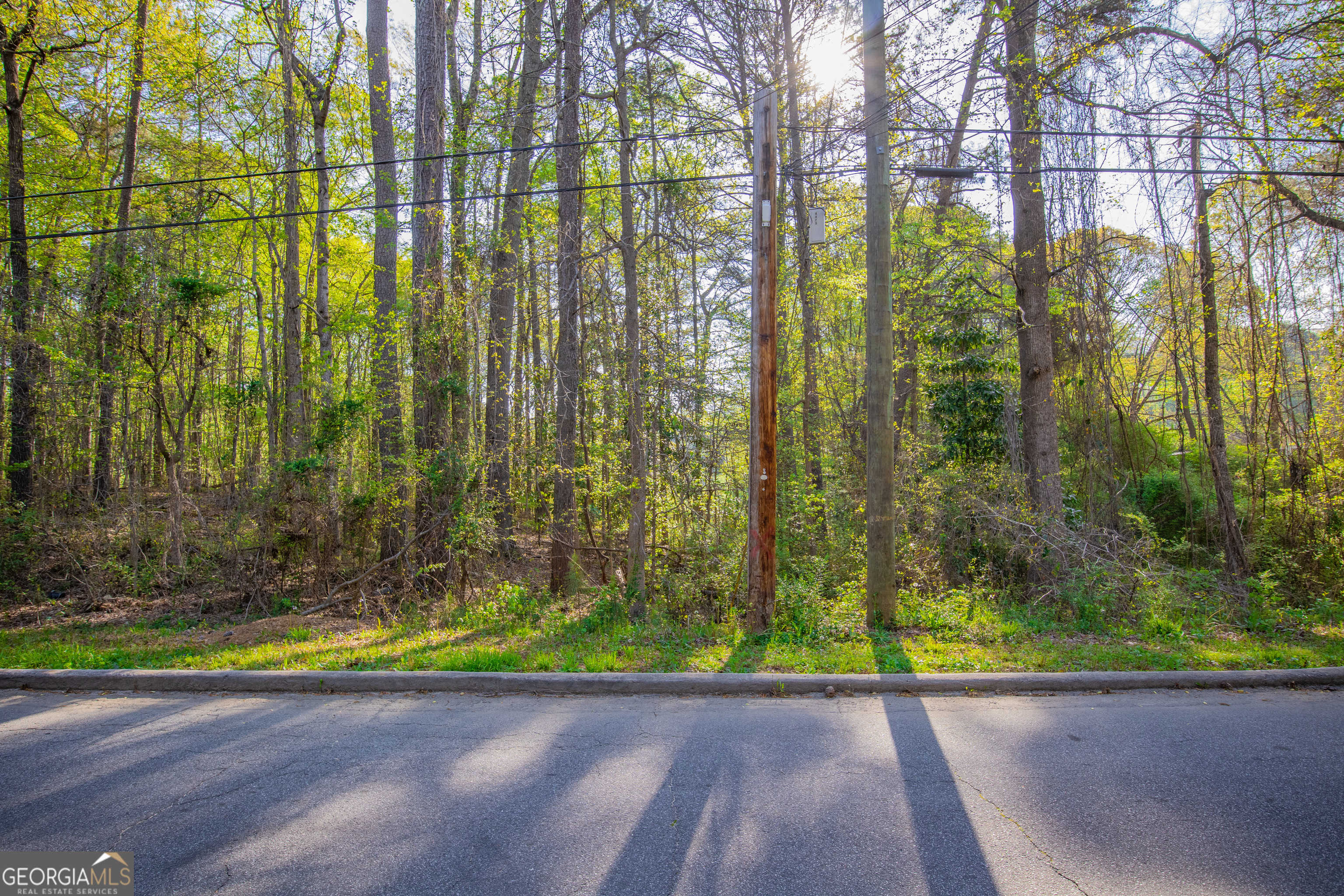 photo 3: White City Road, Atlanta GA 30337