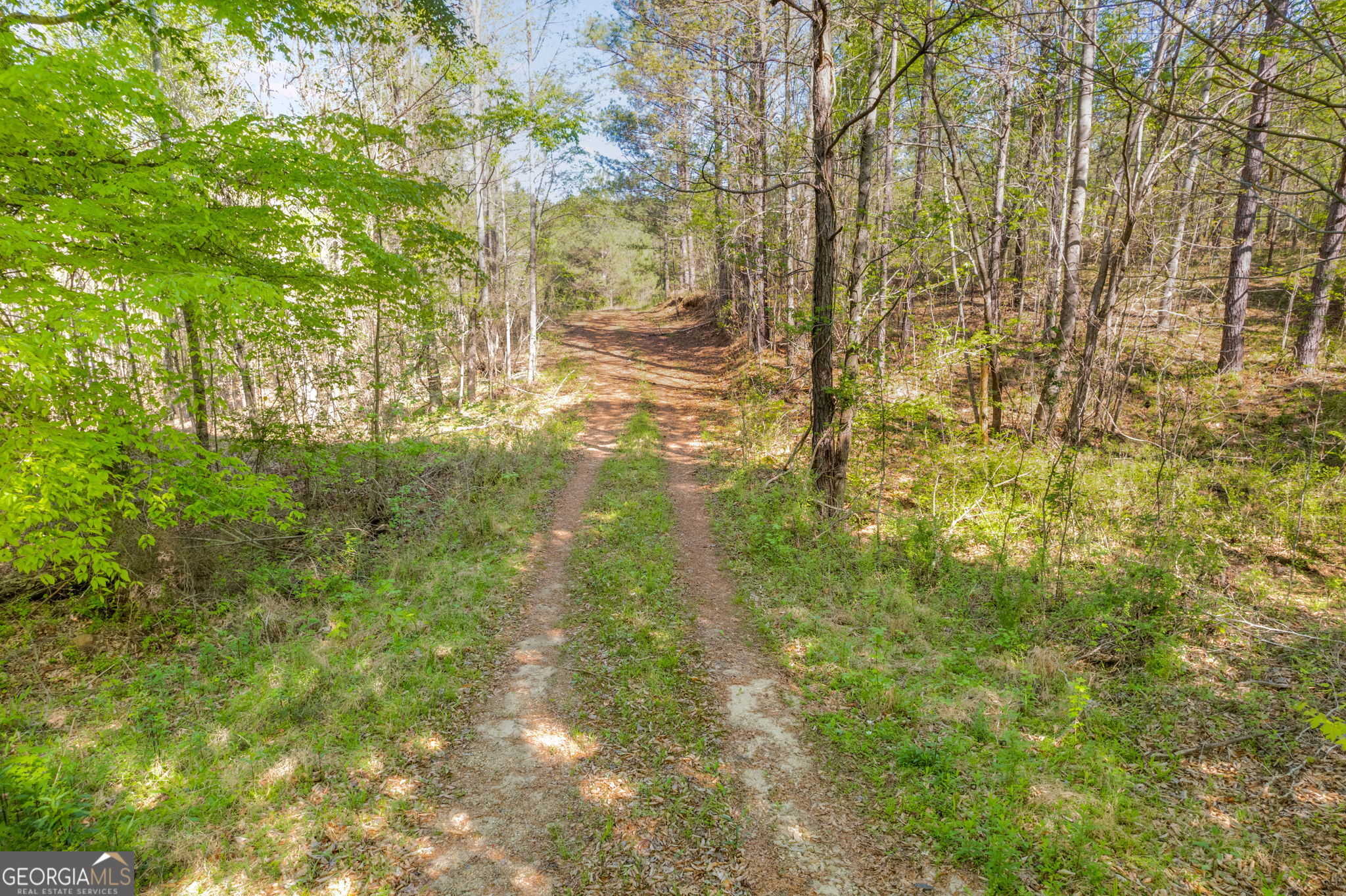 photo 1: Lipham Road, Franklin GA 30217