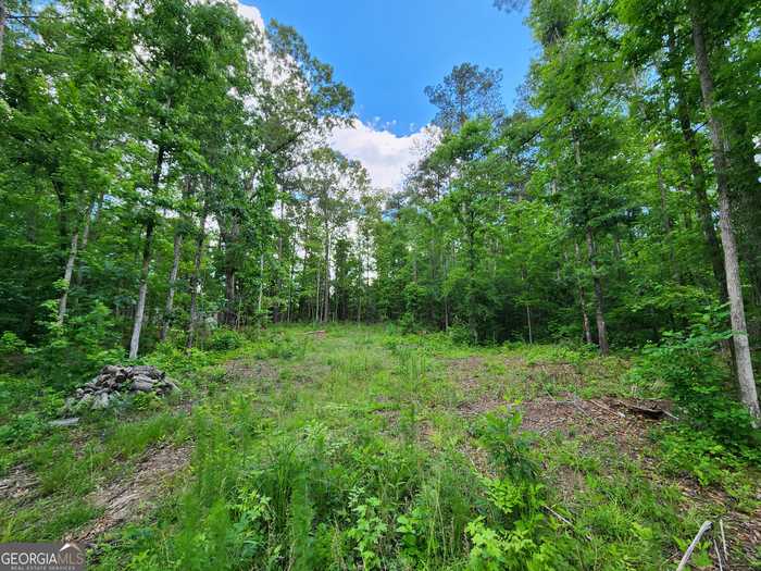 photo 1: LOT 165 Sycamore Dr, Sparta GA 31087