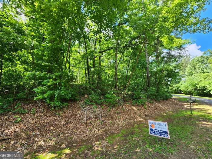 photo 1: LOT 162 Sycamore Dr, Sparta GA 31087